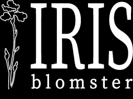 Iris Blomster
